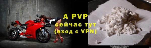 индика Михайлов