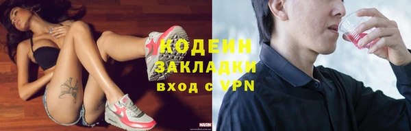 индика Михайлов