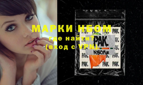 индика Михайлов