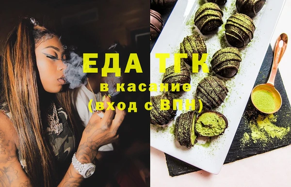 индика Михайлов