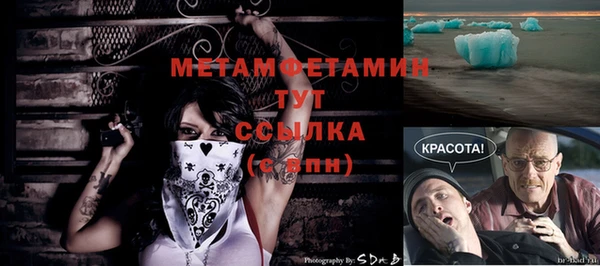 индика Михайлов
