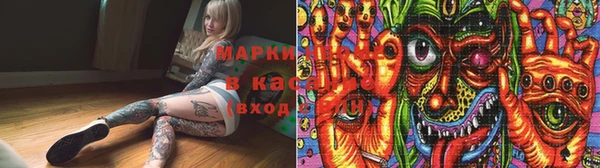 индика Михайлов