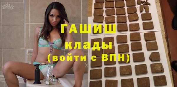 индика Михайлов
