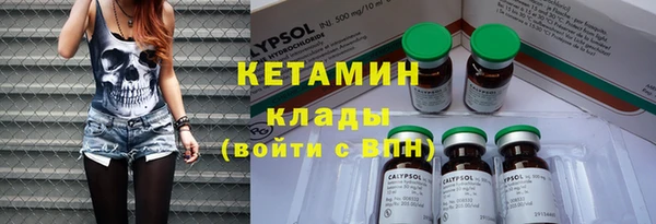 шишки Олёкминск