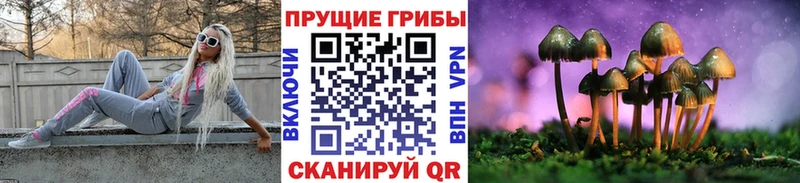 Псилоцибиновые грибы Cubensis  Смоленск 