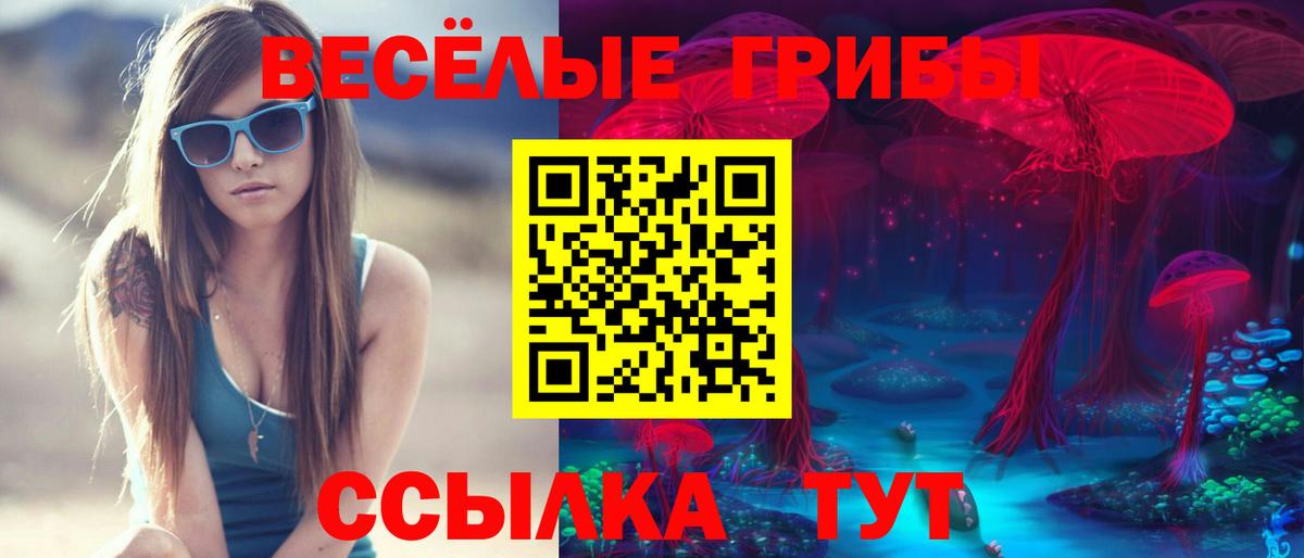 Смоленск  Галлюциногенные грибы MAGIC MUSHROOMS  Вход с VPN 
